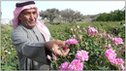 Saleh Al-Nimri